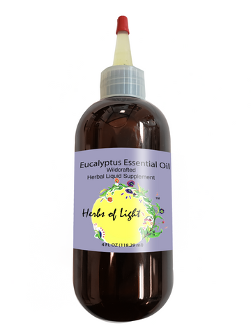 Eucalyptus Essential Oil,  4 oz