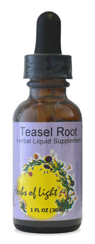 Teasel Root Herbal Extract, 1 ounce