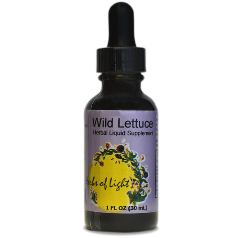 Herbs of Light Wild Lettuce Extract
